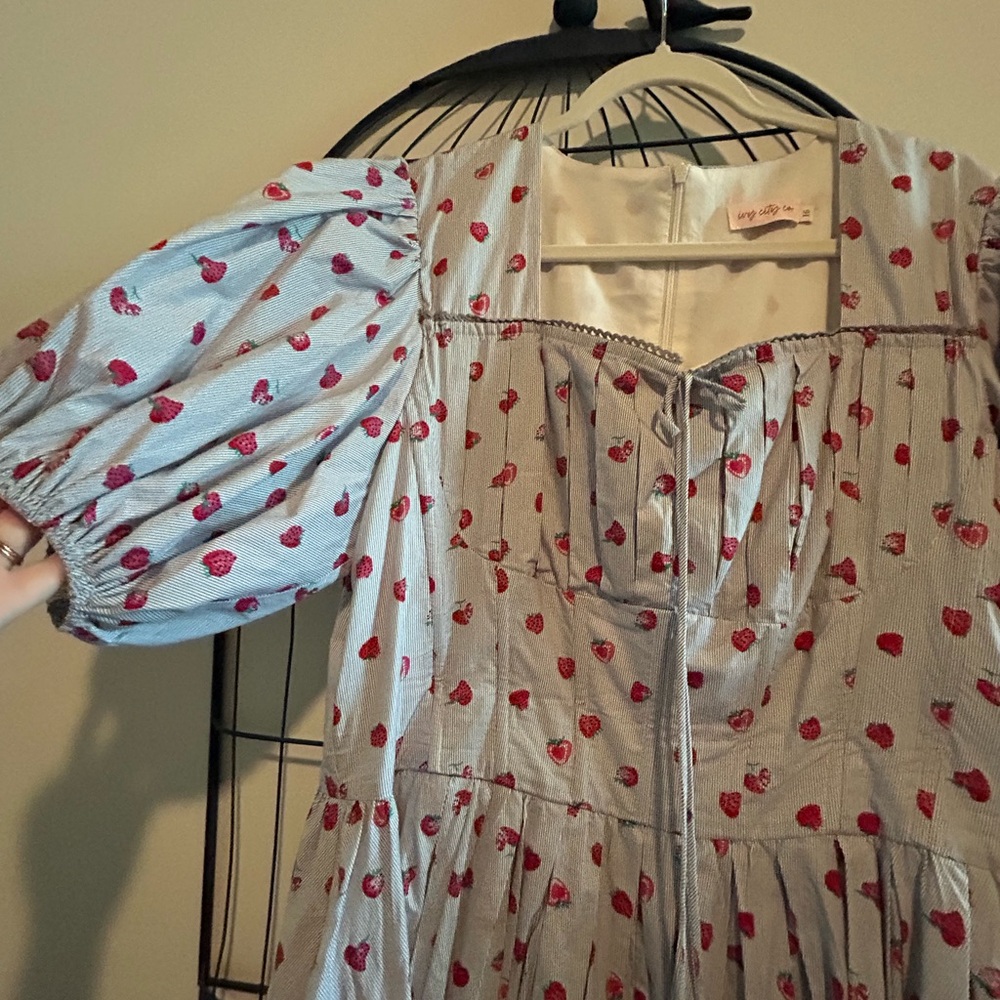 Ivy City Co Thea Striped Dress with Red Strawberry Print - Picture 5 of 8